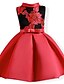 cheap Party Dresses-Kids Girls&#039; Active Party Daily Color Block Floral Embroidered Sleeveless Spandex Cotton Polyester Dress Red