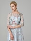 cheap Evening Dresses-A-Line Evening Gown Party Dress Floral Dress Holiday Wedding Guest Floor Length 3/4 Length Sleeve Illusion Neck Lace with Embroidery 2024