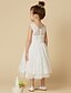 cheap Flower Girl Dresses-A-Line Tea Length Flower Girl Dress First Communion Cute Prom Dress Lace with Lace Fit 3-16 Years