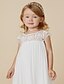 cheap Flower Girl Dresses-Sheath / Column Knee Length Flower Girl Dress Wedding Cute Prom Dress Chiffon with Beading Fit 3-16 Years