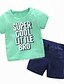 cheap Sets-Boys 3D Solid Colored Clothing Set Short Sleeve Summer Polyester Toddler Daily