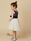 cheap Flower Girl Dresses-A-Line Knee Length Flower Girl Dress Cute Prom Dress Tulle with Sash / Ribbon Fit 3-16 Years