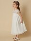 cheap Flower Girl Dresses-Sheath / Column Knee Length Flower Girl Dress First Communion Cute Prom Dress Chiffon with Lace Fit 3-16 Years