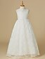 cheap Flower Girl Dresses-Princess Floor Length Flower Girl Dress First Communion Cute Prom Dress Lace with Lace Fit 3-16 Years