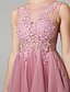 cheap Cocktail Dresses-A-Line Sexy Homecoming Cocktail Party Valentine&#039;s Day Dress Illusion Neck Sleeveless Short / Mini Lace Over Tulle with Appliques 2021