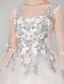 preiswerte Abendkleider-Ballkleid Elegant Kleid Quinceanera Boden-Länge Langarm Illusionsausschnitt Tüll mit Applikationen 2022 / Formeller Abend