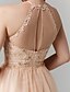 Χαμηλού Κόστους Φορέματα Χορού Αποφοίτησης-Γραμμή Α Κομψό Φανταχτερό Χοροεσπερίδα Επίσημο Βραδινό Φόρεμα Με Κόσμημα Αμάνικο Μέχρι τον αστράγαλο Σιφόν Μεταλλική δαντέλα με Πλισέ Διακοσμητικά Επιράμματα 2021