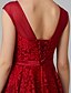 cheap Evening Dresses-A-Line Elegant Dress Cocktail Party Tea Length Sleeveless Illusion Neck All Over Floral Lace with Pleats 2023