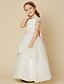cheap Flower Girl Dresses-A-Line Floor Length Flower Girl Dress First Communion Cute Prom Dress Lace with Sash / Ribbon Fit 3-16 Years