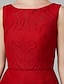 cheap Prom Dresses-A-Line Minimalist Dress Cocktail Party Tea Length Sleeveless Boat Neck Lace with Lace 2022 / Prom