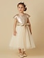 cheap Flower Girl Dresses-Princess Tea Length Flower Girl Dresses Pageant Tulle Short Sleeve Jewel Neck with Bow(s) 2022