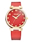 preiswerte Quarzuhren-Damen Uhr Modeuhr Quartz Plastic Schwarz / Weiß / Blau Armbanduhren für den Alltag Analog damas Minimalistisch Weiß Schwarz Rot