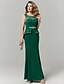 Χαμηλού Κόστους Βραδινά Φορέματα-Τρομπέτα / Γοργόνα Ανοικτή Πλάτη Επίσημο Βραδινό Φόρεμα Illusion Seckline Αμάνικο Μακρύ Σατέν Τούλι με Ζώνη / Κορδέλα Κρυστάλλινη λεπτομέρεια 2020