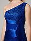 cheap Evening Dresses-Fit &amp; Flare Elegant Dress Holiday Floor Length Sleeveless One Shoulder Lace Over Tulle with Lace 2023