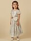 זול שמלות לילדות פרחים-גזרת A באורך  הברך שמלה לנערת הפרחים  שמלת נשף חמודה תחרה עם סרט מתאים 3-16 שנים