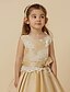 זול שמלות לילדות פרחים-נסיכה באורך הקרסול שמלה לנערת הפרחים  שמלת נשף חמודה תחרה עם סרט מתאים 3-16 שנים