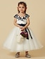 זול שמלות לילדות פרחים-גזרת A באורך  הברך שמלה לנערת הפרחים  תחרות שמלת נשף חמודה תחרה עם סרט מתאים 3-16 שנים