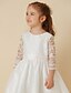 baratos Vestidos para Menina das Flores de Casamento-Linha A Até os Joelhos Vestido para Meninas das Flores Lindo Vestido de Baile Renda com Faixa / Fita Ajuste 3-16 anos