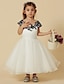 cheap Flower Girl Dresses-A-Line Knee Length Flower Girl Dress Pageant &amp; Performance Cute Prom Dress Lace with Sash / Ribbon Fit 3-16 Years