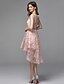 cheap Cocktail Dresses-A-Line Hot Dress Valentine's Day Wedding Guest Asymmetrical Sleeveless Illusion Neck Tulle with Appliques