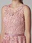 זול שמלות קוקטייל-A-Line Cute Dress Valentine&#039;s Day Cocktail Party Knee Length Sleeveless Illusion Neck Tulle Over Lace with Beading Appliques