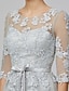 cheap Evening Dresses-A-Line Empire Dress Wedding Guest Prom Floor Length Half Sleeve Illusion Neck Tulle with Bow(s) Appliques 2024