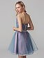 cheap Special Occasion Dresses-A-Line Cute Homecoming Prom Dress Sweetheart Neckline Sleeveless Short / Mini Tulle with Sash / Ribbon Criss Cross 2020