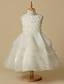 ieftine Rochii Fata cu Flori-A-Line Knee Length Flower Girl Dress Wedding Cute Prom Dress Lace with Lace Fit 3-16 Years