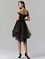 cheap Cocktail Dresses-A-Line Little Black Dress Dress Cocktail Party Knee Length Sleeveless Off Shoulder Tulle with Ruffles Embroidery 2022 / Prom / High Low