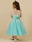 cheap Flower Girl Dresses-A-Line Knee Length Flower Girl Dresses Pageant Lace Sleeveless Jewel Neck with Sash / Ribbon 2022