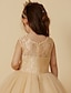 זול Cufflinks-גזרת A באורך  הברך שמלה לנערת הפרחים  שמלת נשף חמודה תחרה עם תחרה מתאים 3-16 שנים