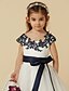 cheap Flower Girl Dresses-A-Line Knee Length Flower Girl Dress Pageant &amp; Performance Cute Prom Dress Lace with Sash / Ribbon Fit 3-16 Years