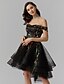 cheap Cocktail Dresses-A-Line Little Black Dress Dress Cocktail Party Knee Length Sleeveless Off Shoulder Tulle with Ruffles Embroidery 2022 / Prom / High Low