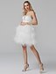 cheap Special Occasion Dresses-Ball Gown Cute Dress Homecoming Cocktail Party Short / Mini Sleeveless Sweetheart Tulle with Beading Tier Tiered 2024
