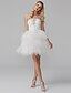 cheap Special Occasion Dresses-Ball Gown Cute Dress Homecoming Cocktail Party Short / Mini Sleeveless Sweetheart Tulle with Beading Tier Tiered 2024