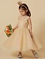 cheap Cufflinks-A-Line Knee Length Flower Girl Dress Cute Prom Dress Lace with Lace Fit 3-16 Years