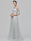 cheap Evening Dresses-A-Line Empire Dress Wedding Guest Prom Floor Length Half Sleeve Illusion Neck Tulle with Bow(s) Appliques 2024
