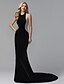 abordables Evening Dresses-Mermaid / Trumpet Celebrity Style Dress Formal Evening Sweep / Brush Train Sleeveless Jewel Neck Lace with Pleats Appliques 2022