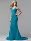 cheap Special Occasion Dresses-Sheath / Column V Neck Court Train Chiffon Formal Evening Dress with Crystals / Side Draping by TS Couture®