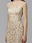 cheap Cocktail Dresses-Sheath / Column See Through Illusion Detail Homecoming Cocktail Party Dress Illusion Neck Long Sleeve Knee Length Lace with Lace Beading Bandage 2021