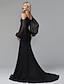 זול שמלות ערב-בתולת ים \ חצוצרה סגנון של מפורסמים אלגנטית ערב רישמי שמלה רצועות ספגטי שרוול ארוך שובל קורט שיפון תחרה עם קפלים אפליקציות 2021