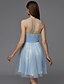 cheap Special Occasion Dresses-A-Line Cute Homecoming Cocktail Party Dress Jewel Neck Sleeveless Short / Mini Lace Tulle with Beading 2021