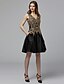 cheap Cocktail Dresses-A-Line Elegant Dress Homecoming Short / Mini Sleeveless V Neck Lace with Appliques 2022 / Cocktail Party