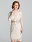 cheap Mother of the Bride Dresses-Sheath / Column Mother of the Bride Dress Floral Jewel Neck Knee Length Lace 3/4 Length Sleeve with Lace Sash / Ribbon 2023