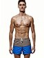 baratos Calças &amp; Calções para Homem-Homens Activo Básico Esportes Praia Chinos Shorts Calças Estampa Colorida Patchwork Verão Branco Azul Vermelho S M L