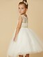 cheap Flower Girl Dresses-Princess Tea Length Flower Girl Dress First Communion Cute Prom Dress Lace with Sash / Ribbon Fit 3-16 Years