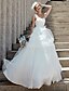 Χαμηλού Κόστους Νυφικά Φορέματα-Βραδινή τουαλέτα Καρδιά Μακρύ Οργάντζα Στράπλες Open Back Φορέματα γάμου φτιαγμένα στο μέτρο με Λουλούδι / Χιαστί / Σε επίπεδα 2020