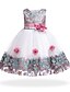 cheap Girls&#039; Dresses-Kids Little Girls&#039; Party Dress Floral Patchwork Flower Holiday Patchwork White Purple Red Knee-length Sleeveless Basic Sweet Dresses Summer 3-8 Years