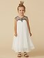 cheap Flower Girl Dresses-A-Line Tea Length Flower Girl Dress Holiday Cute Prom Dress Chiffon with Beading Fit 3-16 Years