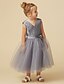 cheap Flower Girl Dresses-Princess Tea Length Flower Girl Dress - Satin / Tulle Sleeveless V Neck with Sash / Ribbon / Bow(s) / Pleats